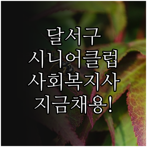 달서구 시니어클럽 사회복지사 채용 정..
