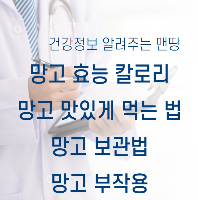 망고