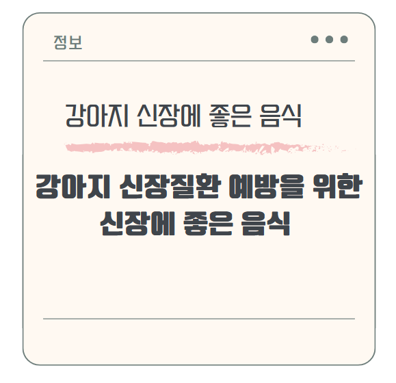 강아지 신장질환 예방을 위한 신장에 좋은 음식