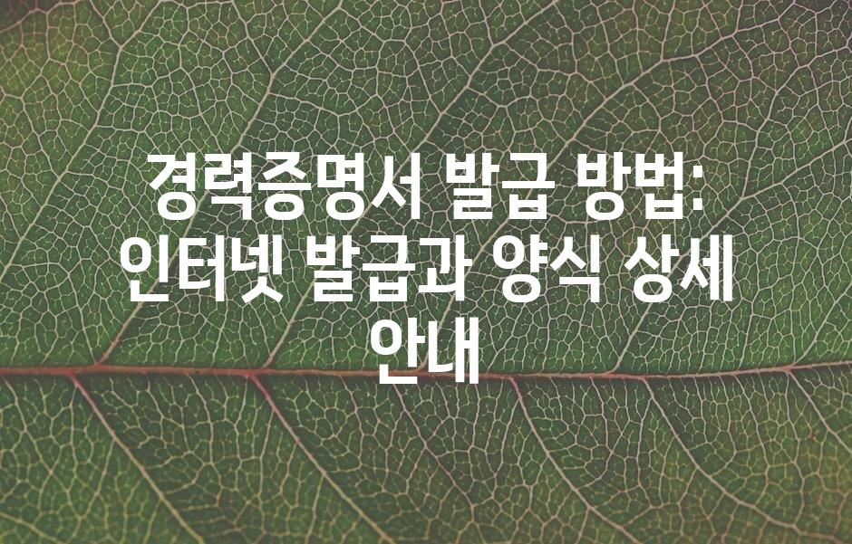 샘플 (43)
