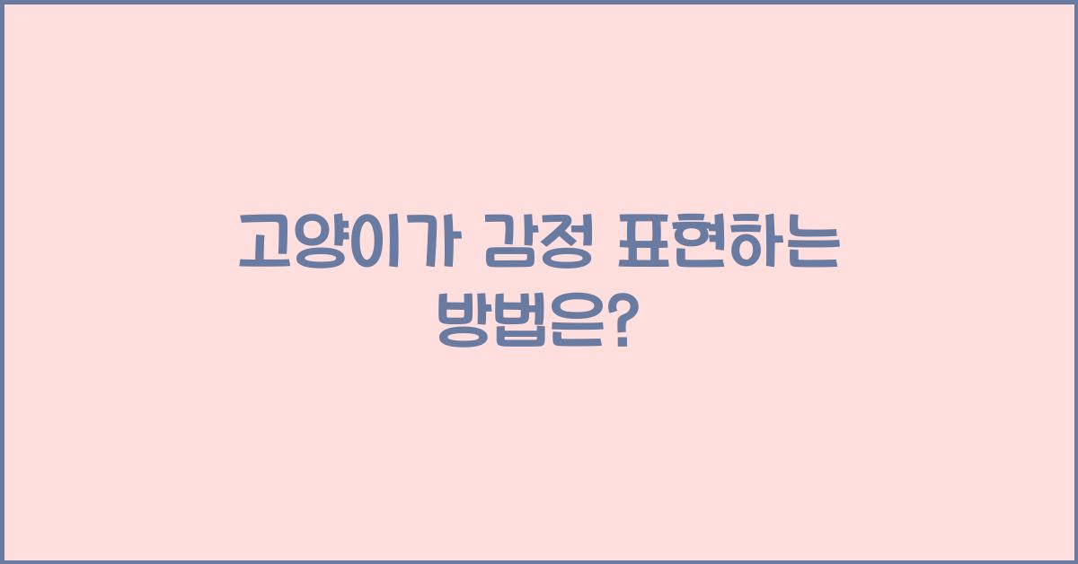 고양이가