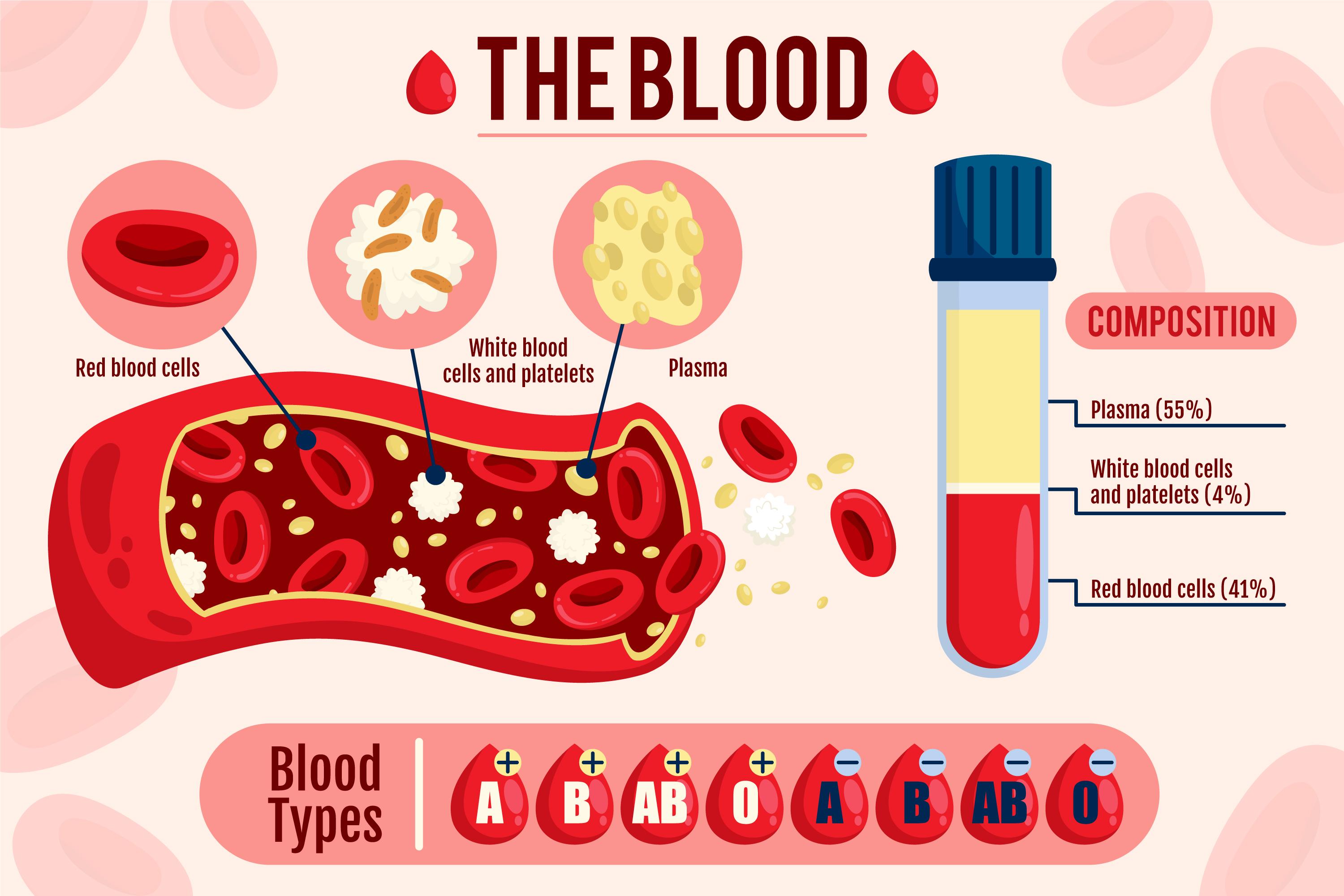 고지혈증 팩트체크