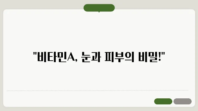 비타민a의 효능