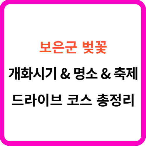 보은 벚꽃 개화시기 축제 명소 드라이브 코스 가이드 썸네일