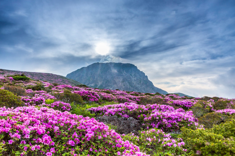 한라산