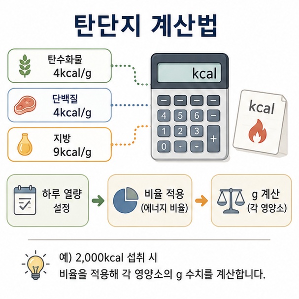 탄수화물과 단백질은 1g당 4kcal, 지방은 1g당 9kcal라는 기준으로 탄단지 섭취량을 계산하는 과정을 보여주는 이미지