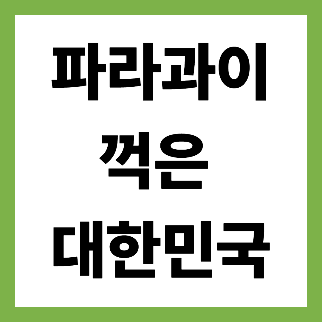 파라과이 꺾은 대한민국&hellip;A매치 2-0 승리, 흥행은 실패?