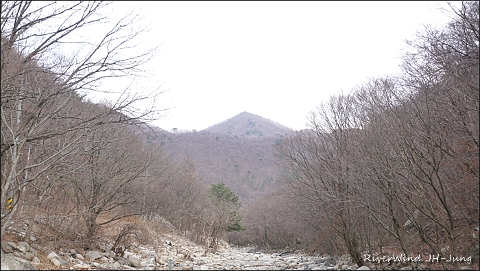 천성산 산하동 상리천 야생화
