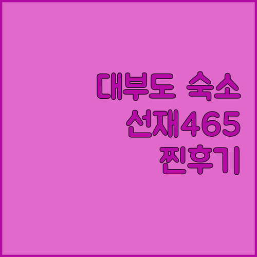 대부도 선재465 숙박 후기 사장님 