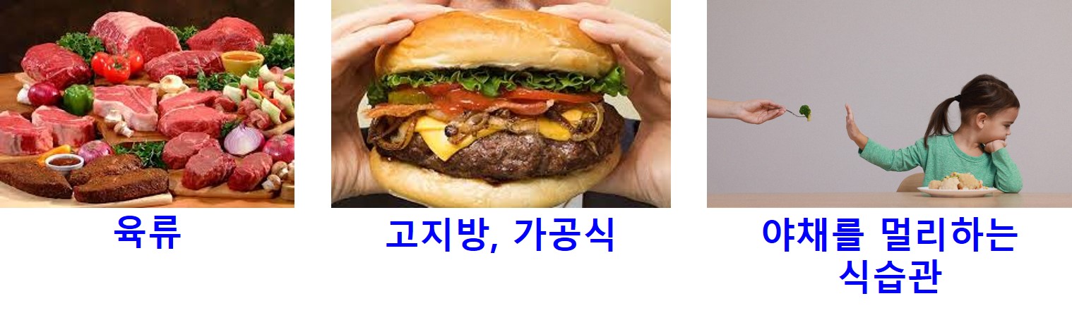 프로바이오틱스