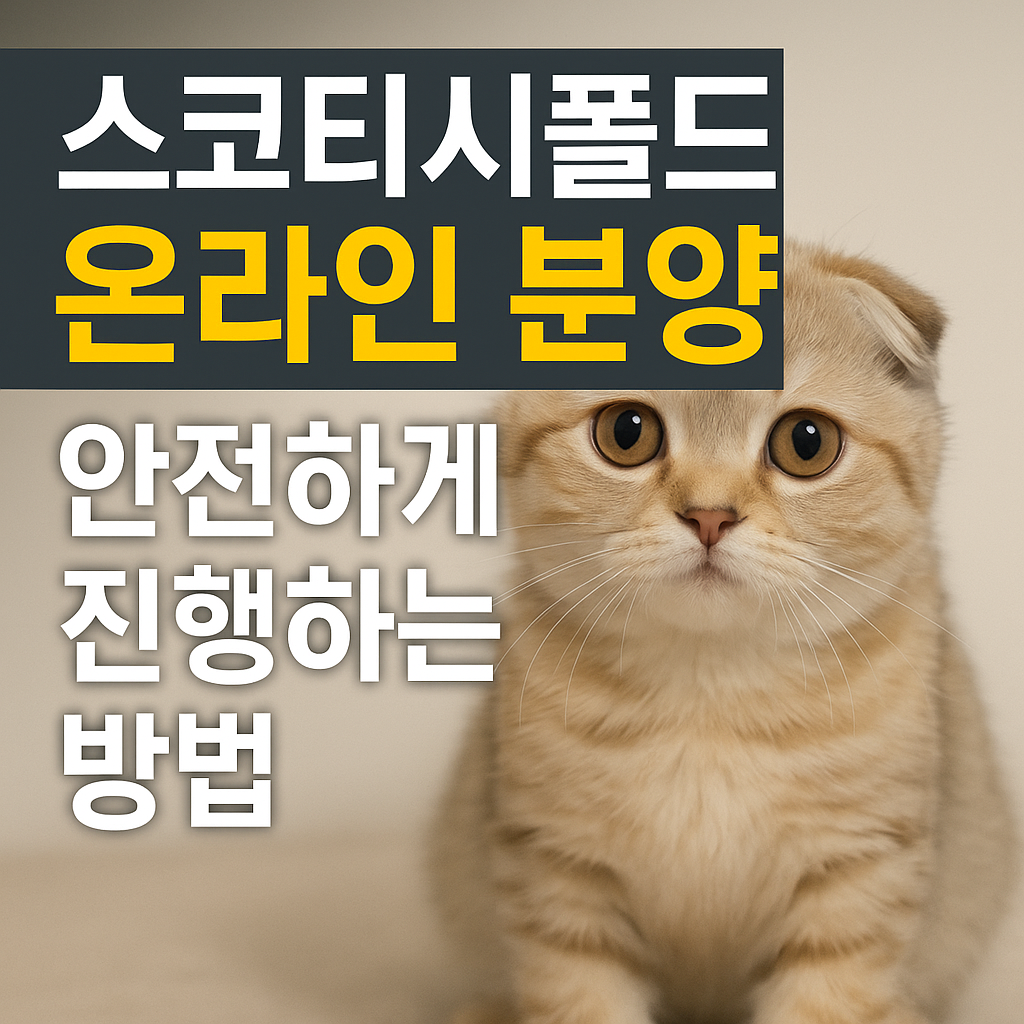 스코티시폴드