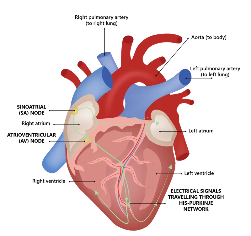하트 이미지 예쁜 하트 그림 일러스트_2