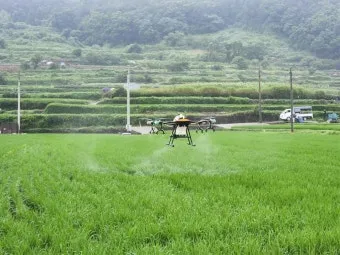 농사 병해충 예방법 진딧물 응애 노균병 탄저병 대처_6