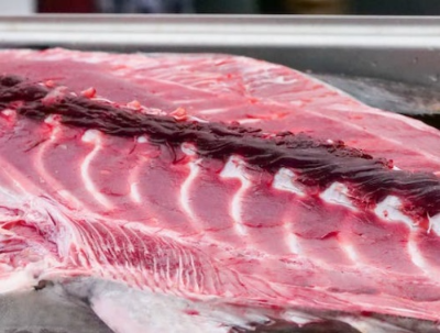 방어 부시리 구별법