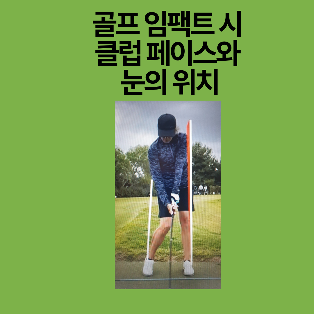 파크골프 룰과매너