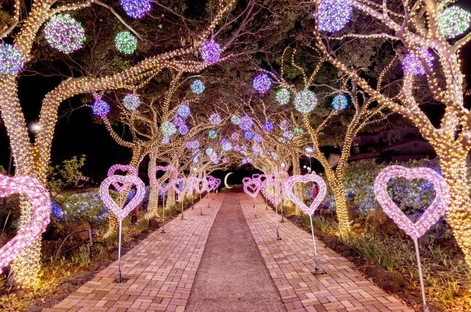 제주 허브동산에는 허브공원이 기본이지만 공원안에는 힐링하우스 펜션도 같이 운영하고 있습니다. 