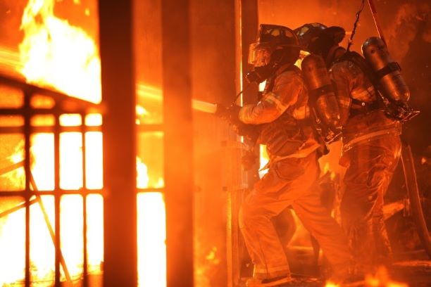 타워 네이버영화