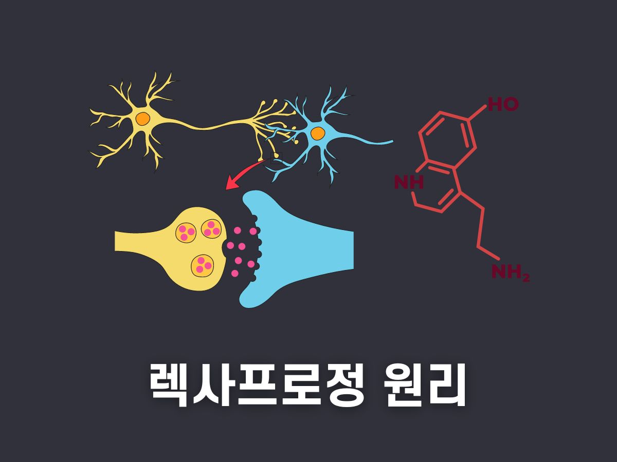 렉사프로정 원리