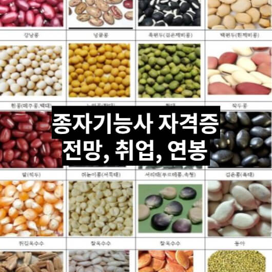 종자기능사