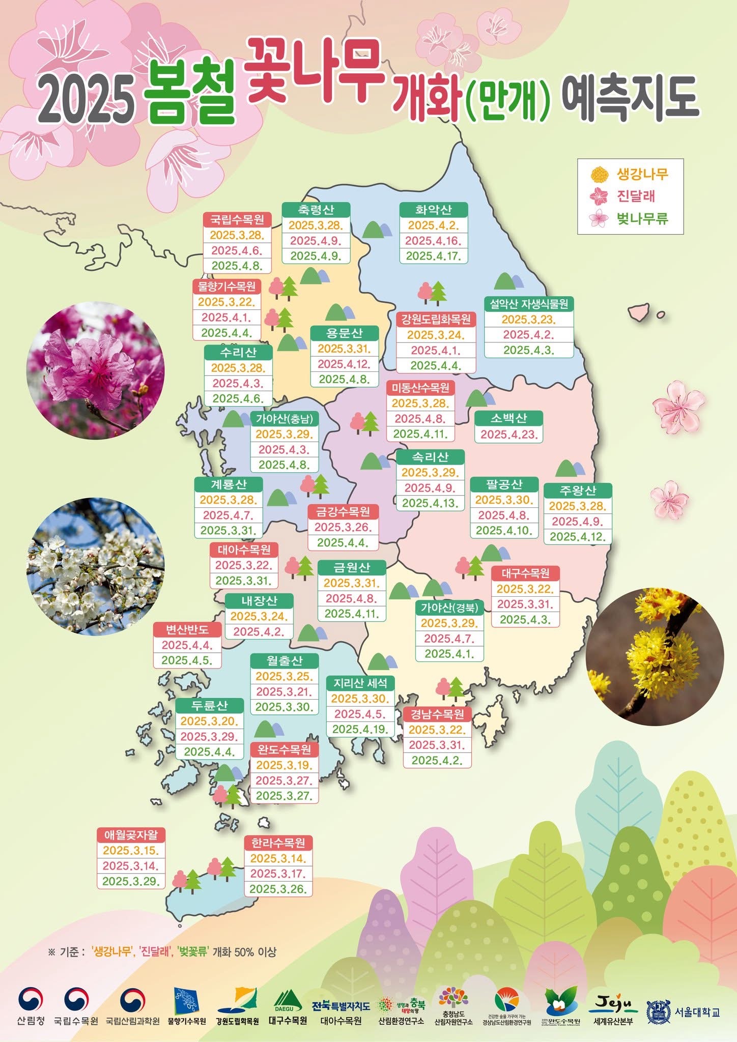봄꽃 지도