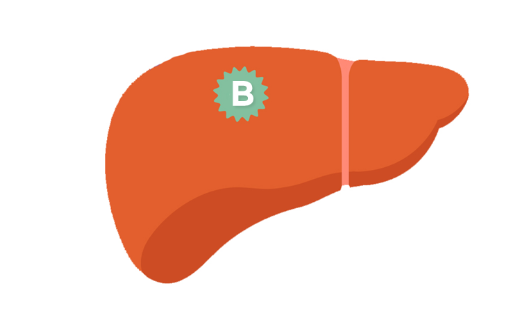 B형 간염의 정의