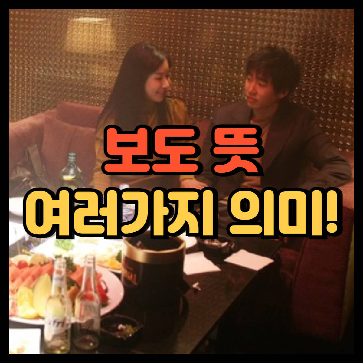 보도 뜻