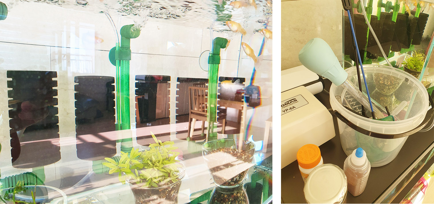 구피 어항 및 준비물 사진