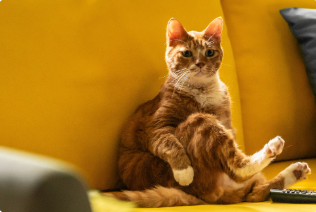 영화 좀비딸 상영관 예매하기