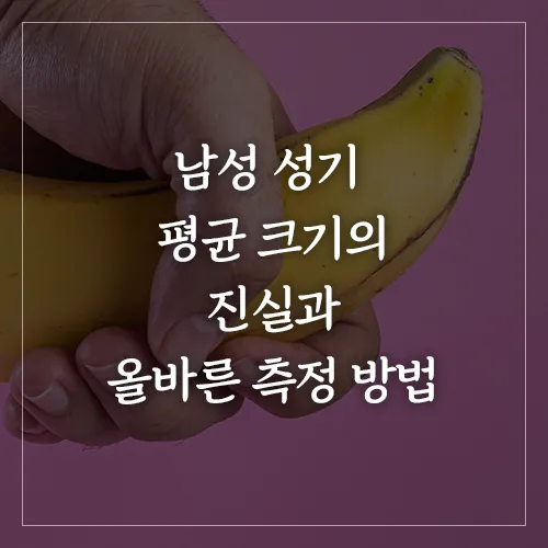 남성 성기 평균 크기의 진실과 성기 측정 방법