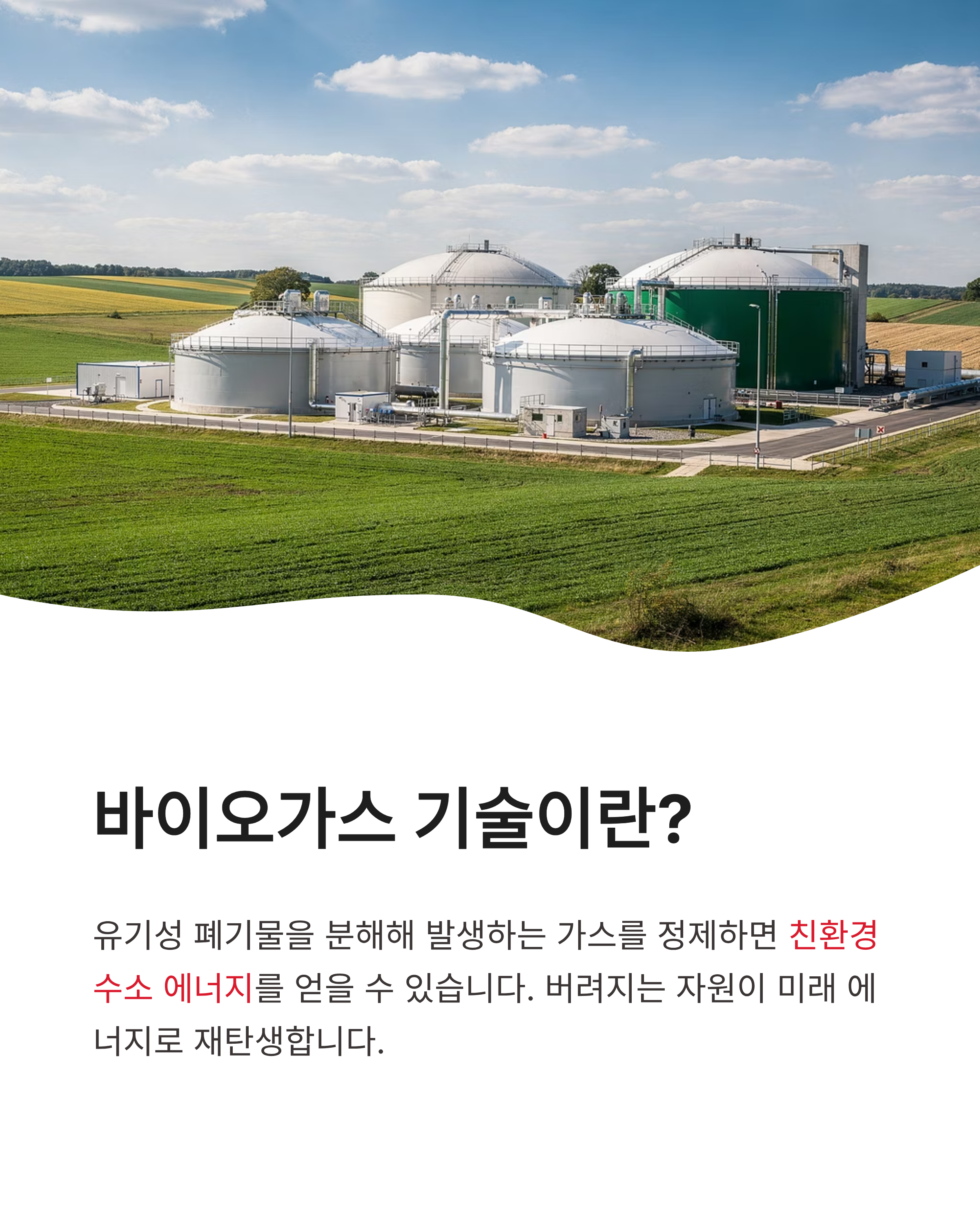 6월 5일 기후행동(기후동행) 퀴즈 정답, 환경도 지키고 지식도 쌓는 방법!