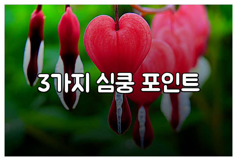 3가지 심쿵 포인트