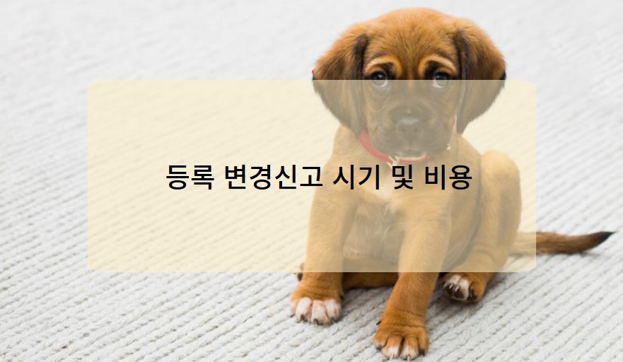 등록 변경신고 시기 및 비용