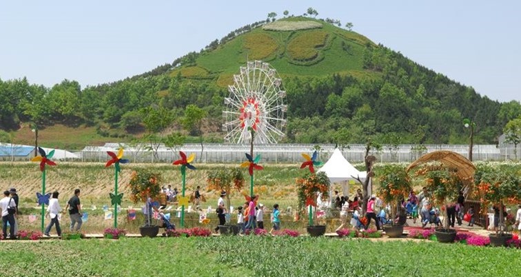 함평