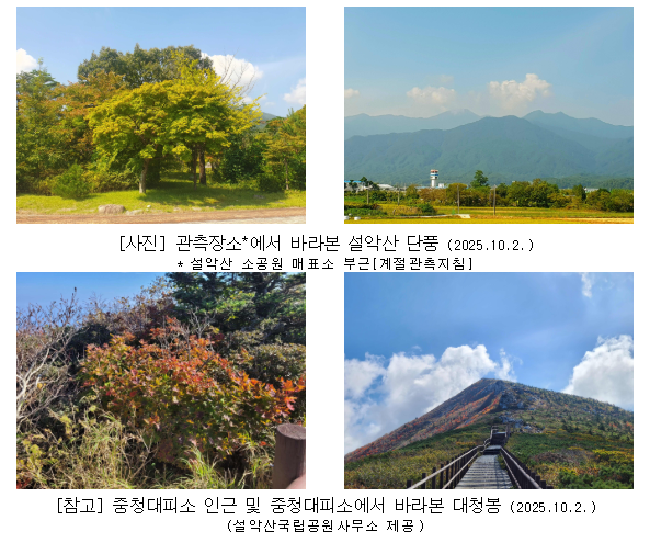 설악산 단풍 시작! 절정시기 지금 확인하세요 (출처 : 기상청)