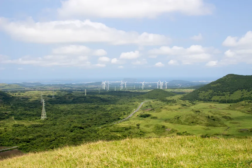 제주 백약이오름 정상에서 바라본 억새 능선과 조용한 숲길 풍경