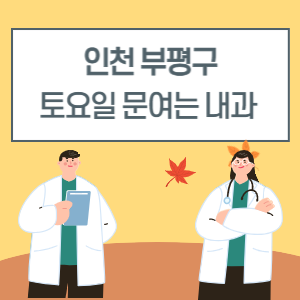 인천 부평구 토요일 내과 진료 병원 리스트
