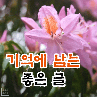 기억에 남는 좋은 글 감성 이미지