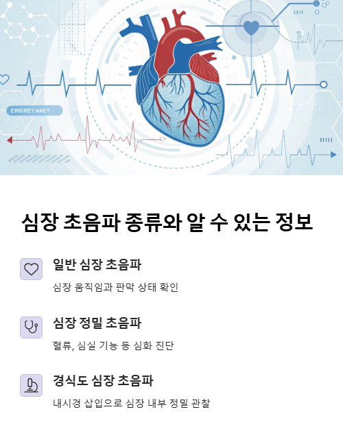 심장 초음파 종류와 알 수 있는 정보