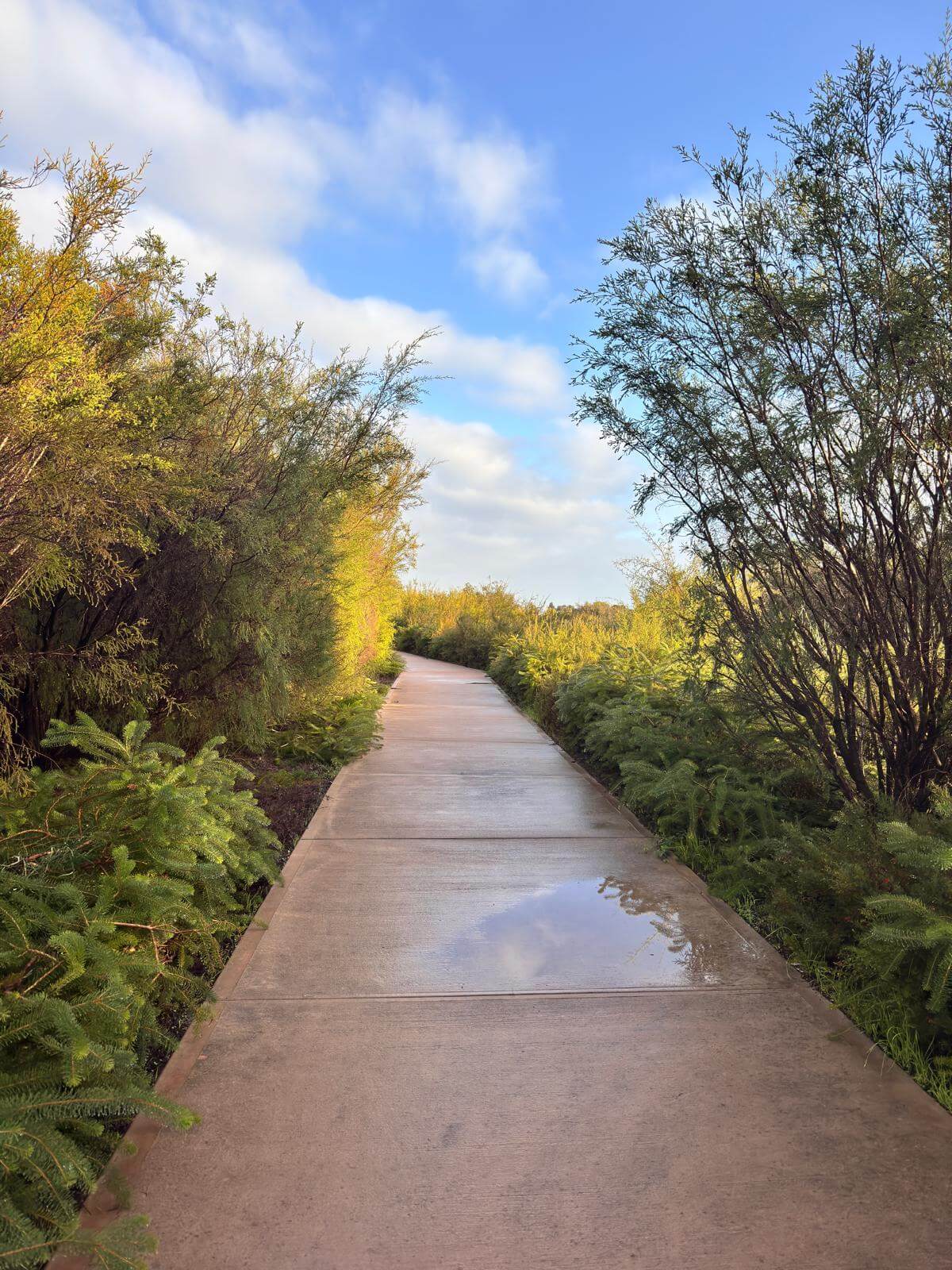 인터벌 러닝 효과