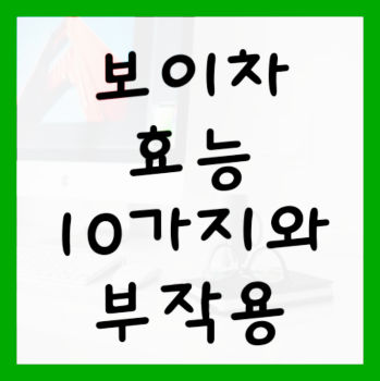 보이차-효능-10가지-및-부작용-대표사진