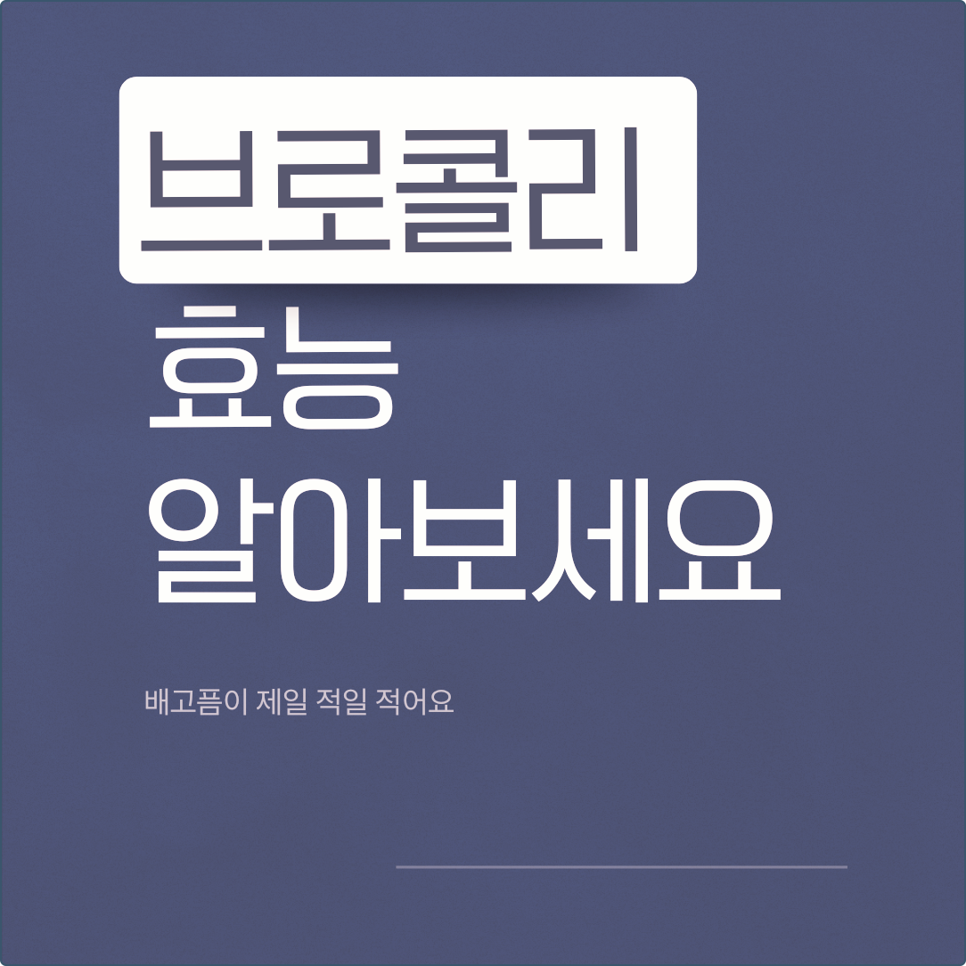브로콜리 효능 배고픔이 제일 적일 적어요