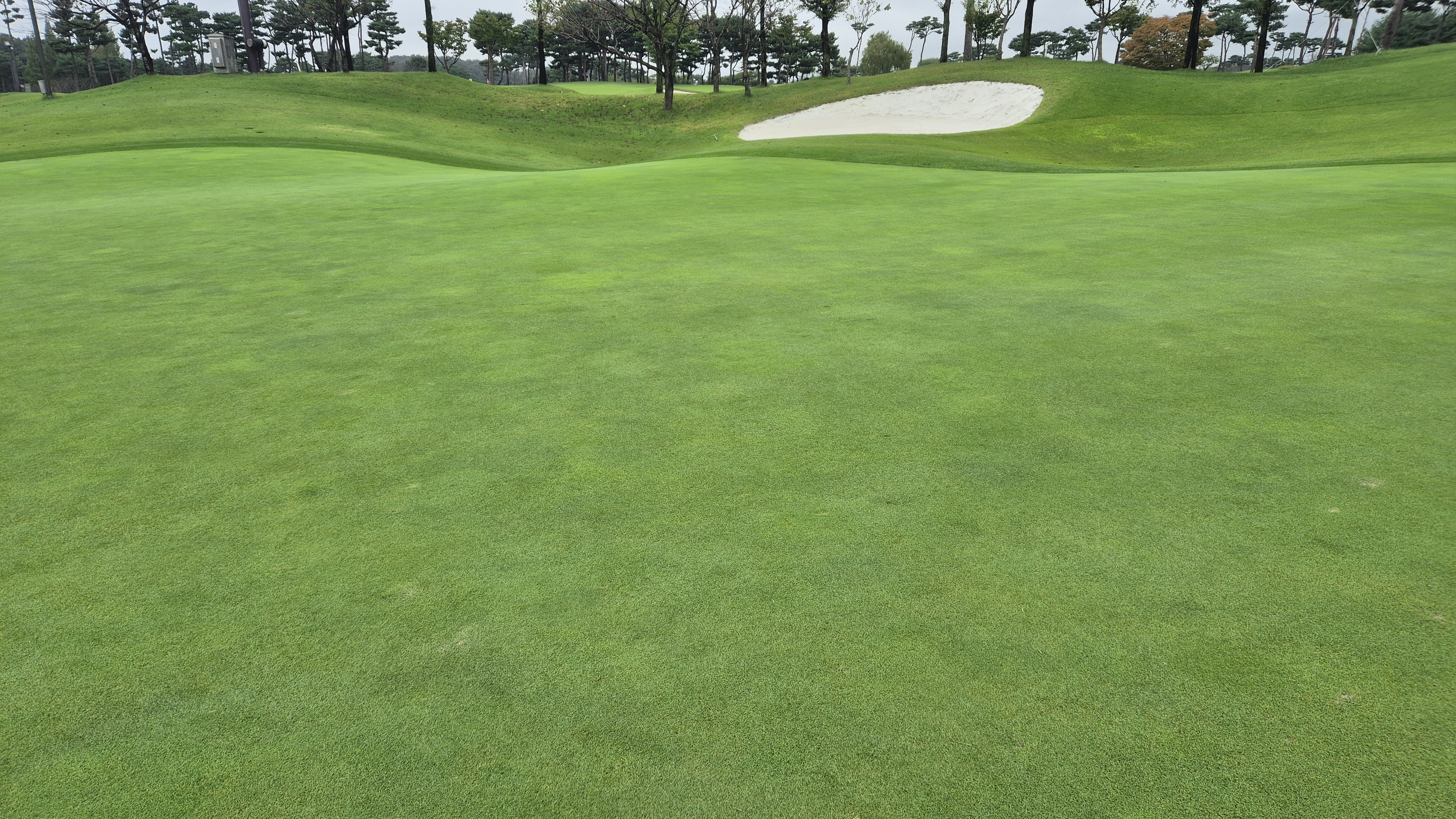 파인스톤cc 그린 빠르기 및 난이도