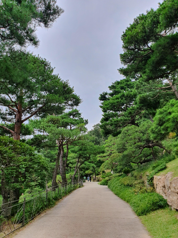 풍경5
