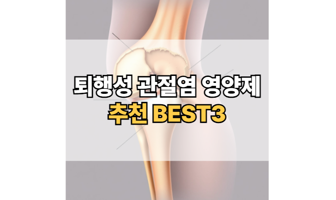 퇴행성-관절염-영양제-추천