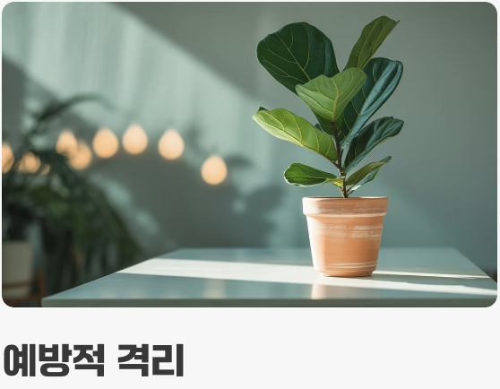 퇴치보다 중요한 재발 방지