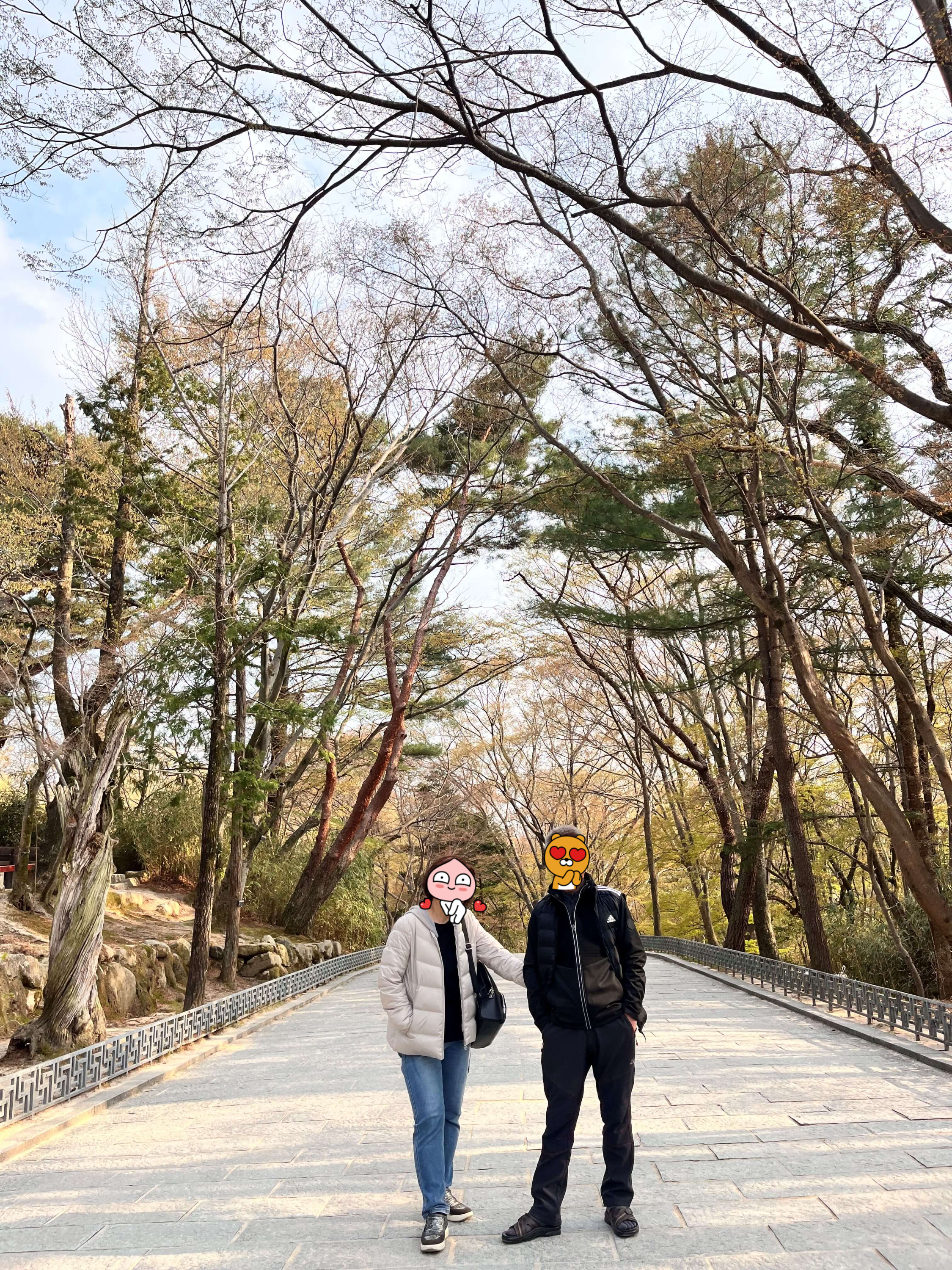 불국사 주차장가는길