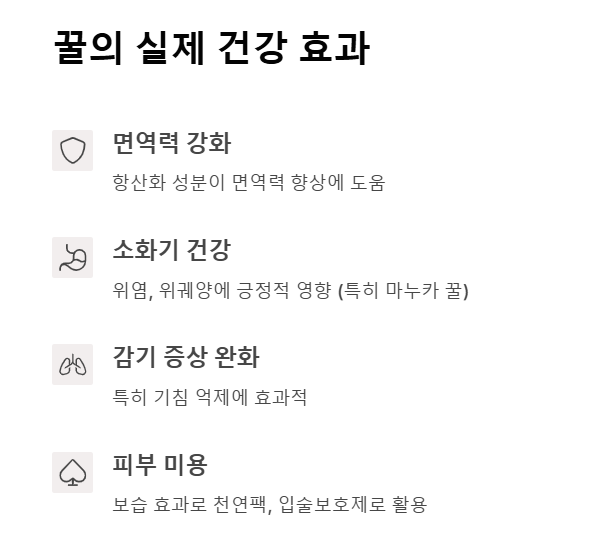 꿀이 주는 실제 건강 효과들