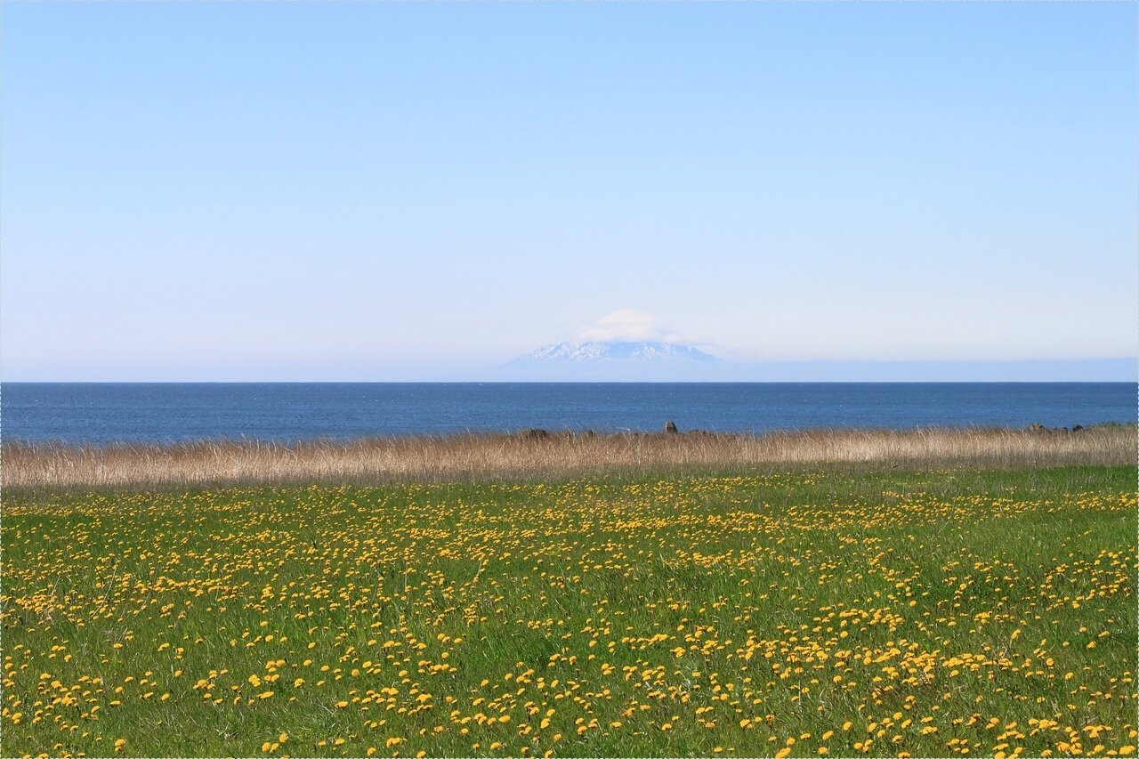 저축은행 정기예금 금리비교