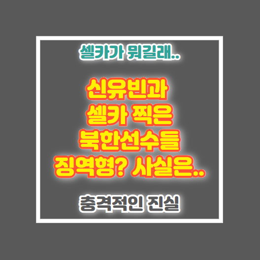 신유빈 셀카 리정식 김금용