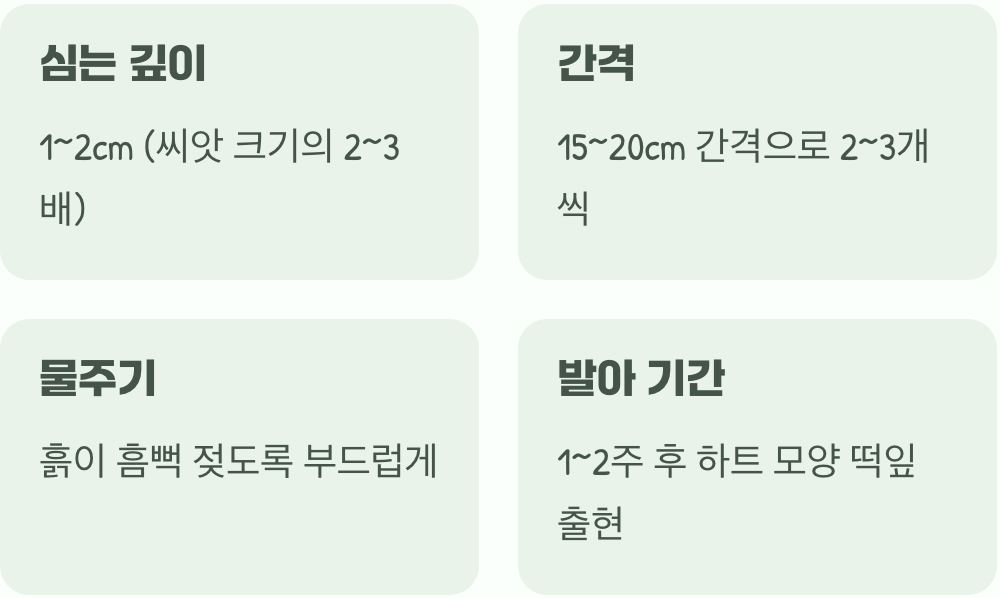 씨앗의 포근한 흙 이불